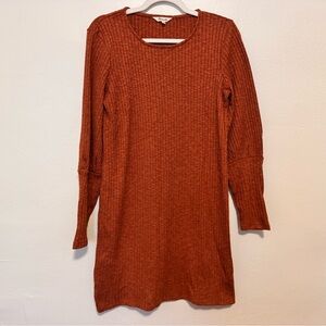 Madewell Burnt Orange Knit Dress